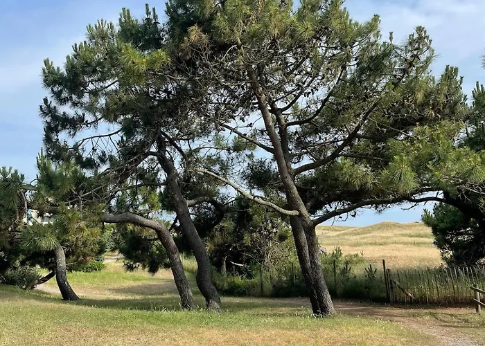 La Maison De La Hébergement de vacances Bretignolles-sur-Mer